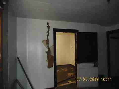 16737 Dolphin (20)_m.jpg